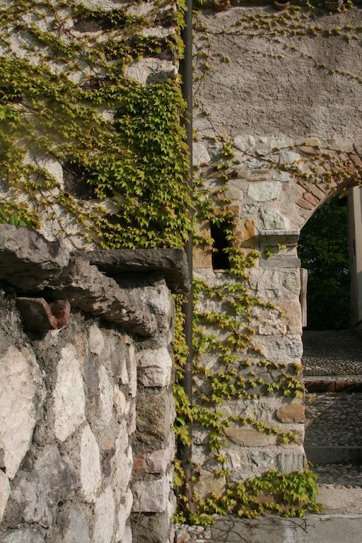 La Maison Lion Cesiomaggiore Kültér fotó